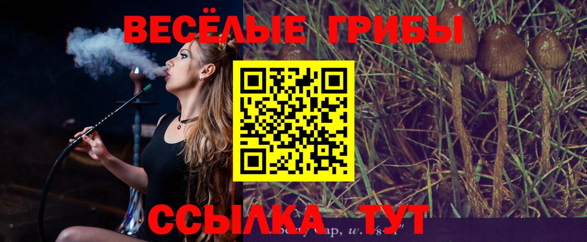 Галлюциногенные грибы мицелий  Псилоцибиновые грибы Psilocybe  Дивногорск  как найти закладки  Вход с VPN 